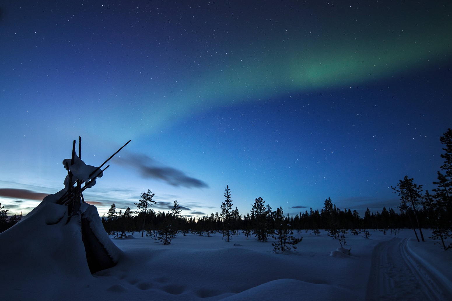 Aurora boreal sobre el &Aacute;rtico